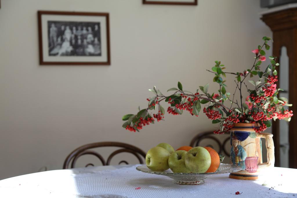 Hagiati Guesthouse إذيسا المظهر الخارجي الصورة